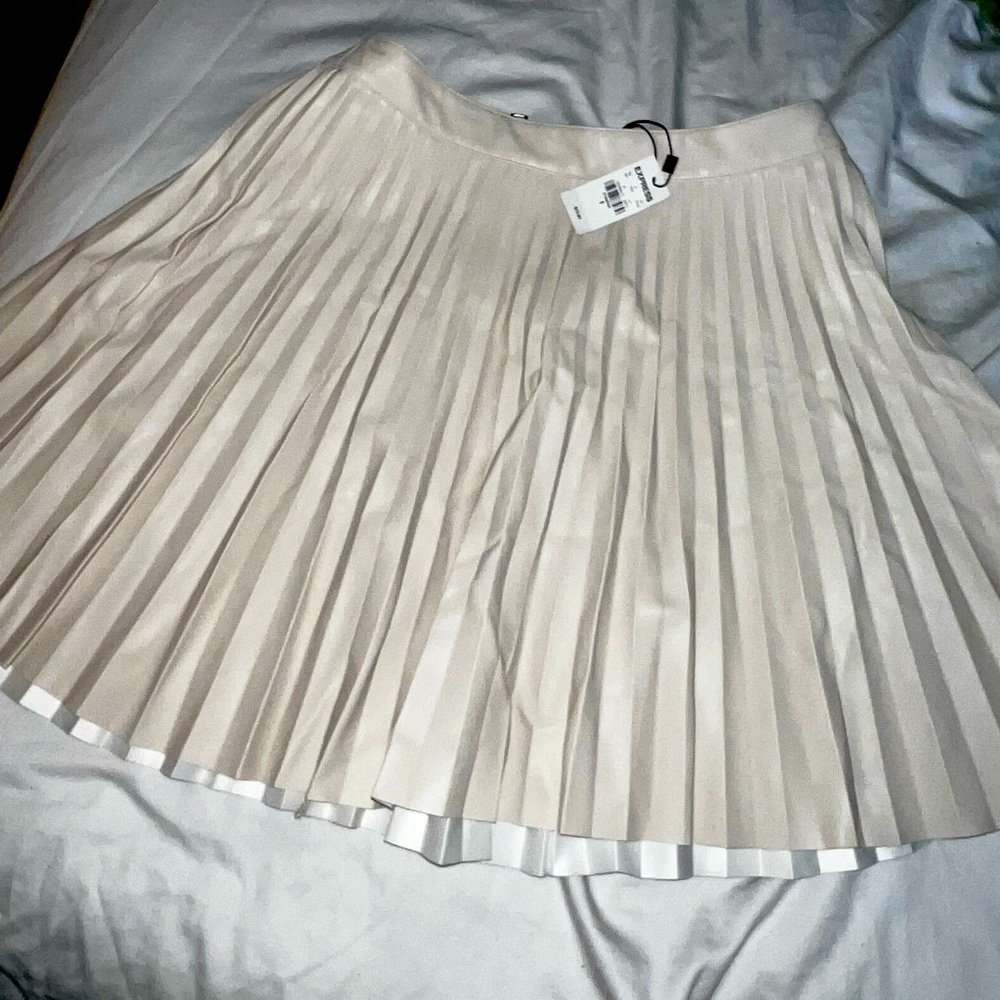 NWT FAN style skirt EXPRESS